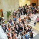 Nyárcsalogató (Fotó: Nagy Mária)