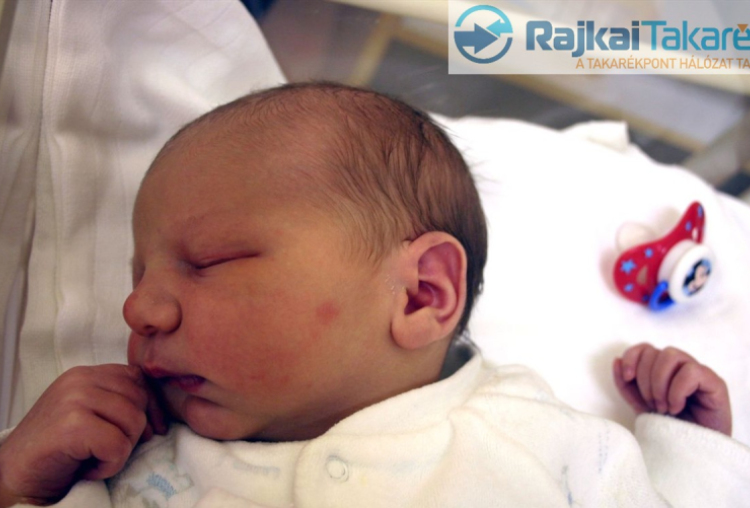 Csiszár Barnabás, Kapuvár