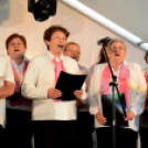 Majoroki Fesztivál (Fotó: Bánhegyi István)