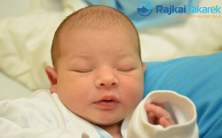 Hartai Kende Turul, 4050 gr. Hédervár