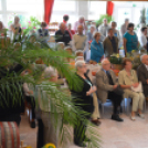 Legszebb konyhakertek (Fotó: Nagy Mária)