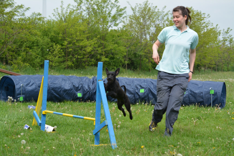 Agility Attilával (Fotó: Nagy Mária)