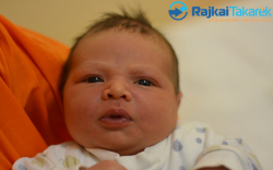 Baranyai Nimród Zsolt, 4200 gr. Csorna