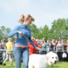 CAC kutyakiállítás (Fotó: Nagy Mária)