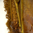 Tapintsd meg, képzeld el, leld örömöd benne című kiállítás és megnyitója ( Fotó: Patács Judit )