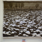 Lengyel-Magyar Nap a Hansági Múzeumban