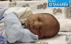 Bognár Milán Zoltán, Csorna