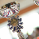 8. Tavaszköszöntő - Idén is megrendezték a Nők a Városért egyesület a hagyományos Tavaszköszöntőjét. 