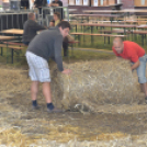 Szigetköz ízei, Vármegye borai Fesztivál (vasárnap) (Fotó: Horváth Attila)