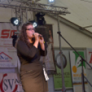 Szigetköz ízei, Vármegye borai Fesztivál (vasárnap) (Fotó: Horváth Attila)