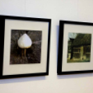 LÁT-KÉP, Talpas Balázs fotókiállításának megnyitója a Fehér Ló Közösségi Házban