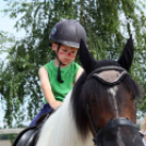 Pillangó Óvoda lovas nap és piknik (Fotó: Stipkovits Veronika)