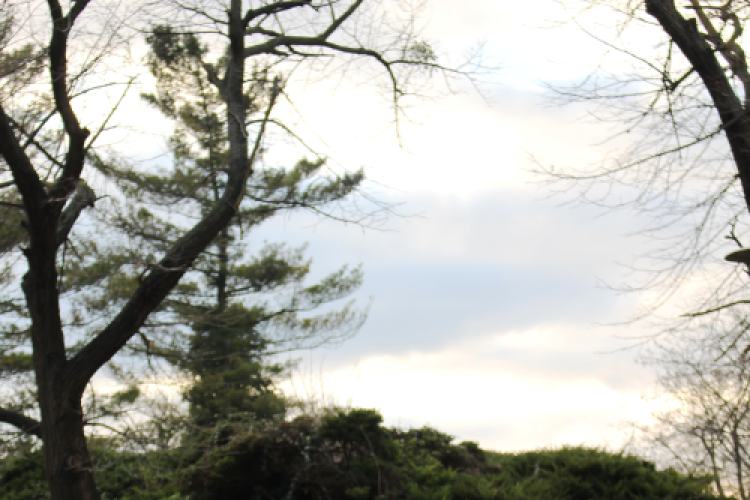 Szoboravatás - DR. Masch Antal - 2014.12.18. 