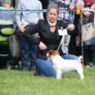 CAC kutyakiállítás (Fotó: Nagy Mária)