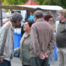 Szigetköz ízei, vármegye borai fesztivál - péntek (Fotó: Nagy Mária)