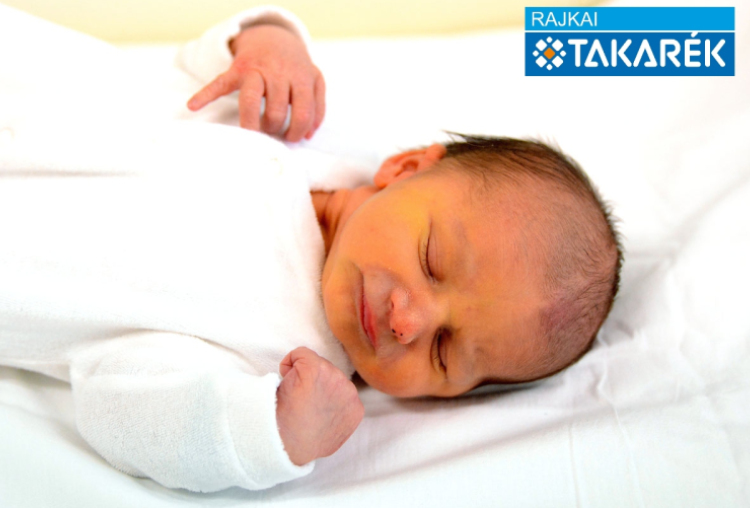 Lang Krisztián, Kisbodak