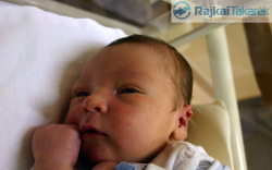 Bazsó Patrik, Győr