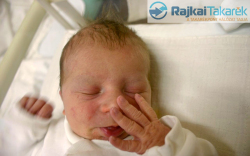 Nagy Dilen, Mosonmagyaróvár