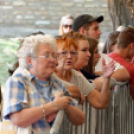 Szigetköz ízei, vármegye borai fesztivál / VÁRMEGYE SZÉPE - VÁRMEGYE HANGJA (Fotó: Horváth Attila)