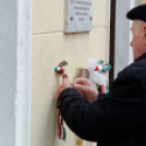 2015. MÁRCIUS 15. Mosonmagyaróvár (Fotó: Horváth Attila)