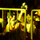 Voluta 1 nap (Fotó: Stipkovits Veronika és Bánhegyi István)