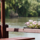 Civil Nap Mosonmagyaróváron