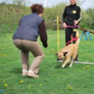 Agility - Hobby Kutyások részére (Fotó: Nagy Mária)