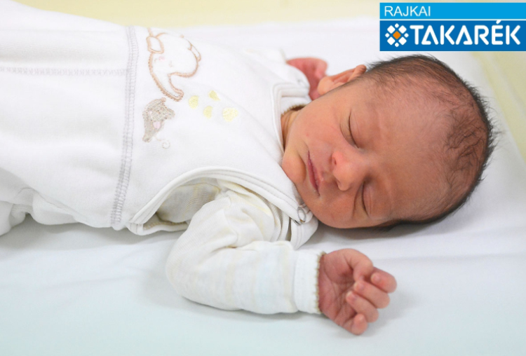 Bodi Róbert Patrik, Mosonmagyaróvár