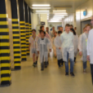 Üzemlátogatás a Nolato-nál (Fotó: Nagy Mária)