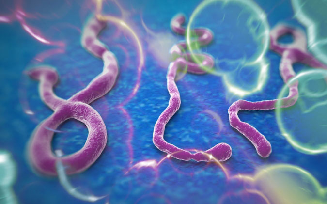 Világbank-elnök: 'Vesztésre állunk az ebola elleni csatában'