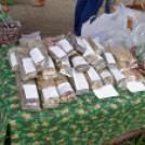 Szigetközi Szatyor - Ragyogj KÉKEN! (Fotó: Horváth Attila)