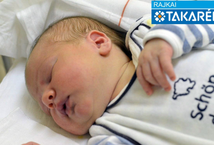 Tomasits Áron, Mosonmagyaróvár