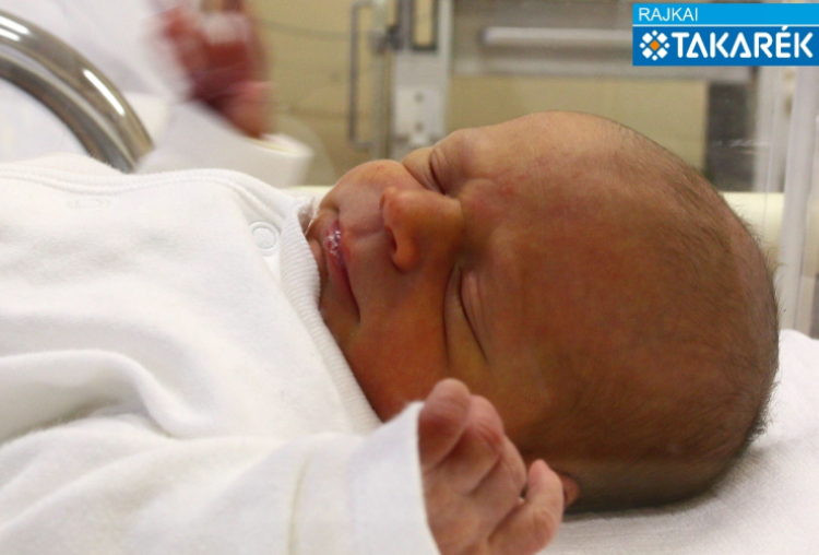 Szabó Kristóf, Mosonmagyaróvár