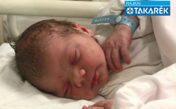 Stipkovits Márk, Mosonmagyaróvár