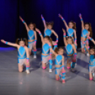 Jótékonysági Műsor