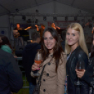 Szigetköz Ízei, Vármegye borai Fesztivál (péntek) (Fotó: Horváth Attila)