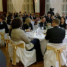 Virilista est 2015 Mosonmagyaróvár (Fotó: Horváth Attila)