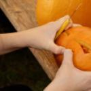 X. Jánossomorjai Tökfesztivál (Fotó: Horváth Attila)