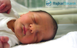 Gondár Ábel, Bősárkány