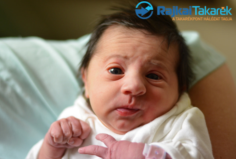 Egri Szófia, Dunasziget