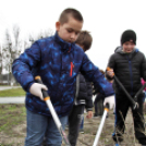 Kőrisfacsemetéket ültettek a diákok a Nolato Magyarország Kft telephelyén
