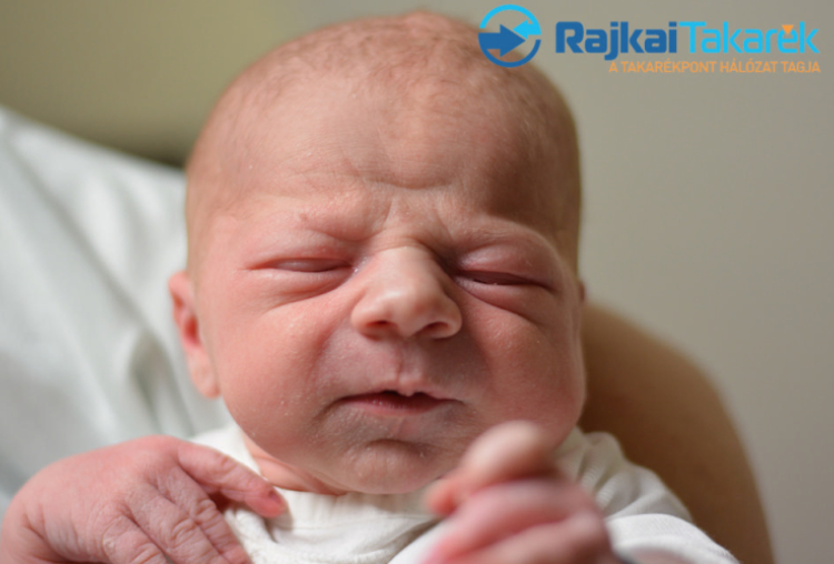 Hegedűs Bálint László, Mosonmagyaróvár