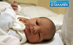 Kovács Lara, Halászi