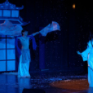 Japán Kert (Fotó: Horváth Attila)