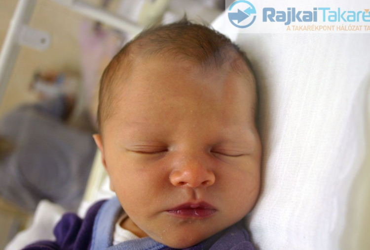 Hartai Dénes, Halászi