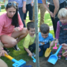 Mosonmagyaróvári Kézilabda SE faültetés (Fotó: Bánhegyi István)