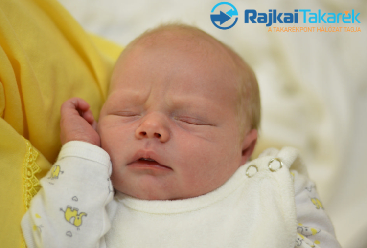 Fördős Ádám, Mosonmagyaróvár