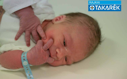 Péntek Dávid Albert, Jánossomorja