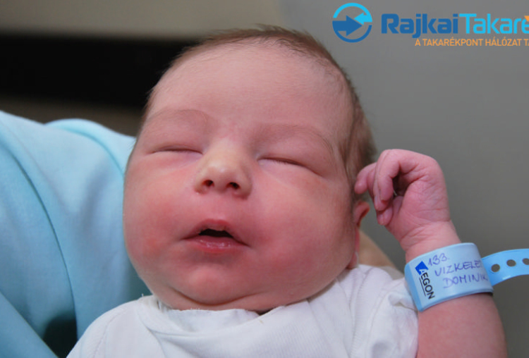 Vizkeleti Dominik, 3590 gr. Levél