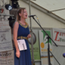 Szigetköz ízei, Vármegye borai Fesztivál (vasárnap) (Fotó: Horváth Attila)